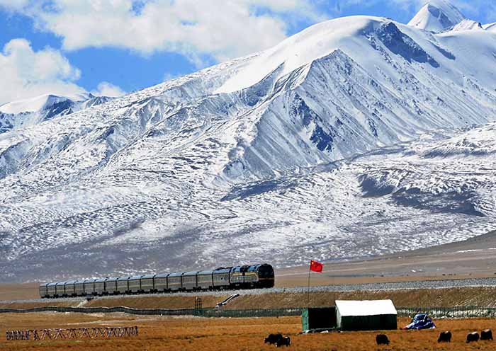 西藏火車在雪山下行駛