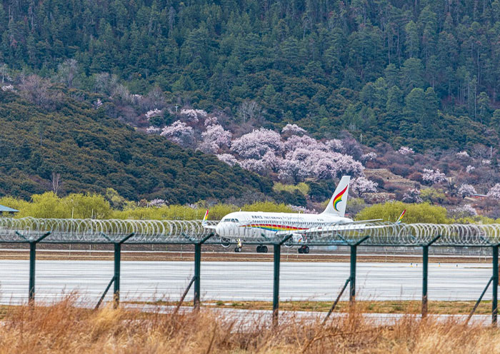 搭飛機去西藏拉薩