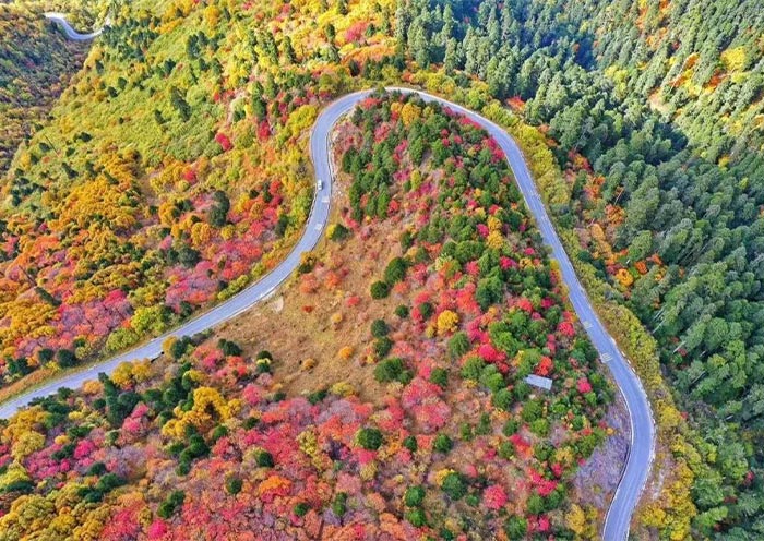 林芝有哪些好玩的地方呢？