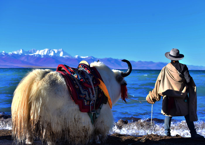 西藏的聖湖納木措湖