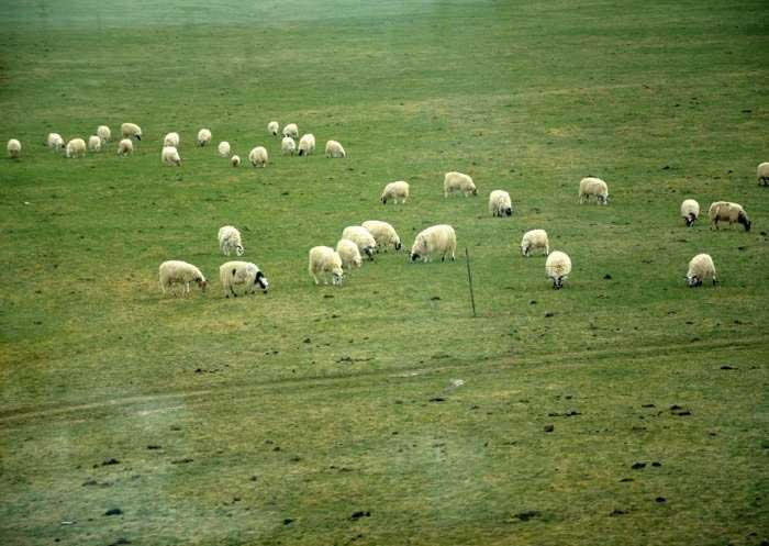 <strong>阿裡無人區的奇旖之境</strong>