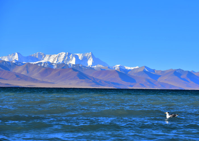 納木措湖碧綠的湖水