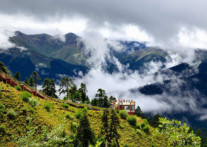 魯朗林海的景色