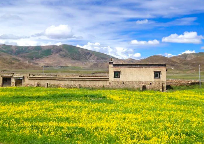 前往拉孜的途中